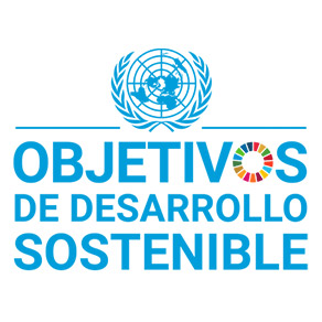 IMG: Organización de Naciones Unidas – ODS